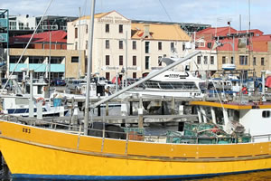 Victoria Dock in Hobart